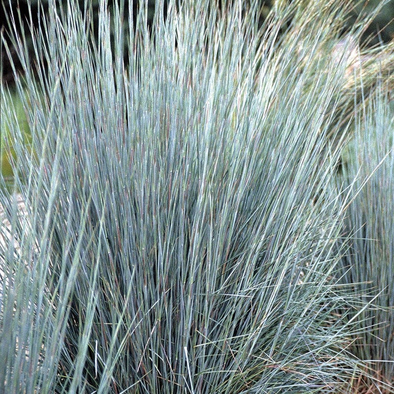 Easy Care Pre-Planned Garden - Image 5