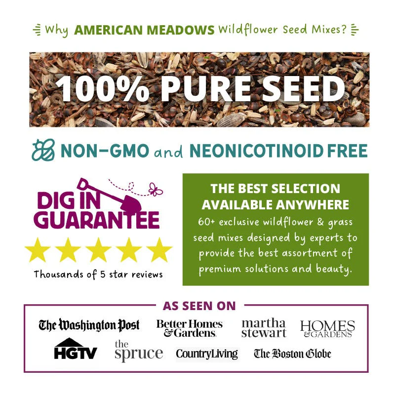 Southeast Pollinator Wildflower Seed Mix - Image 4