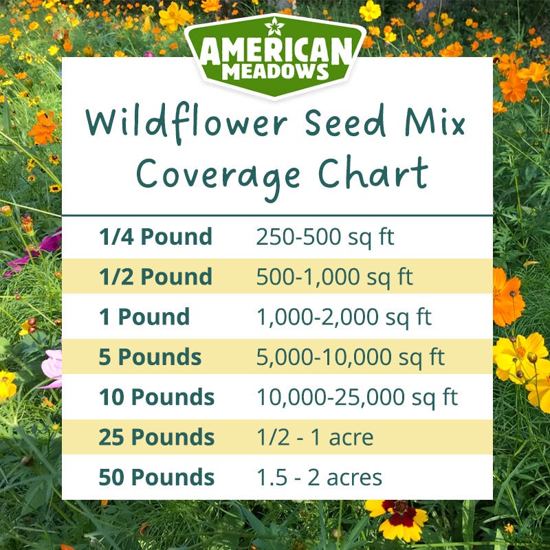 Southwest Select Wildflower Seed Mix - Image 7